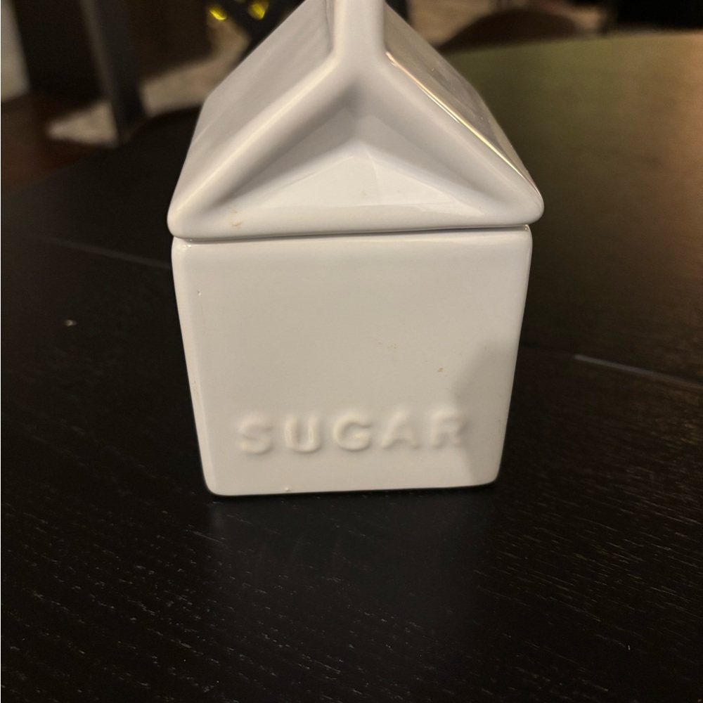 Pier 1 Imports Stoneware Dish